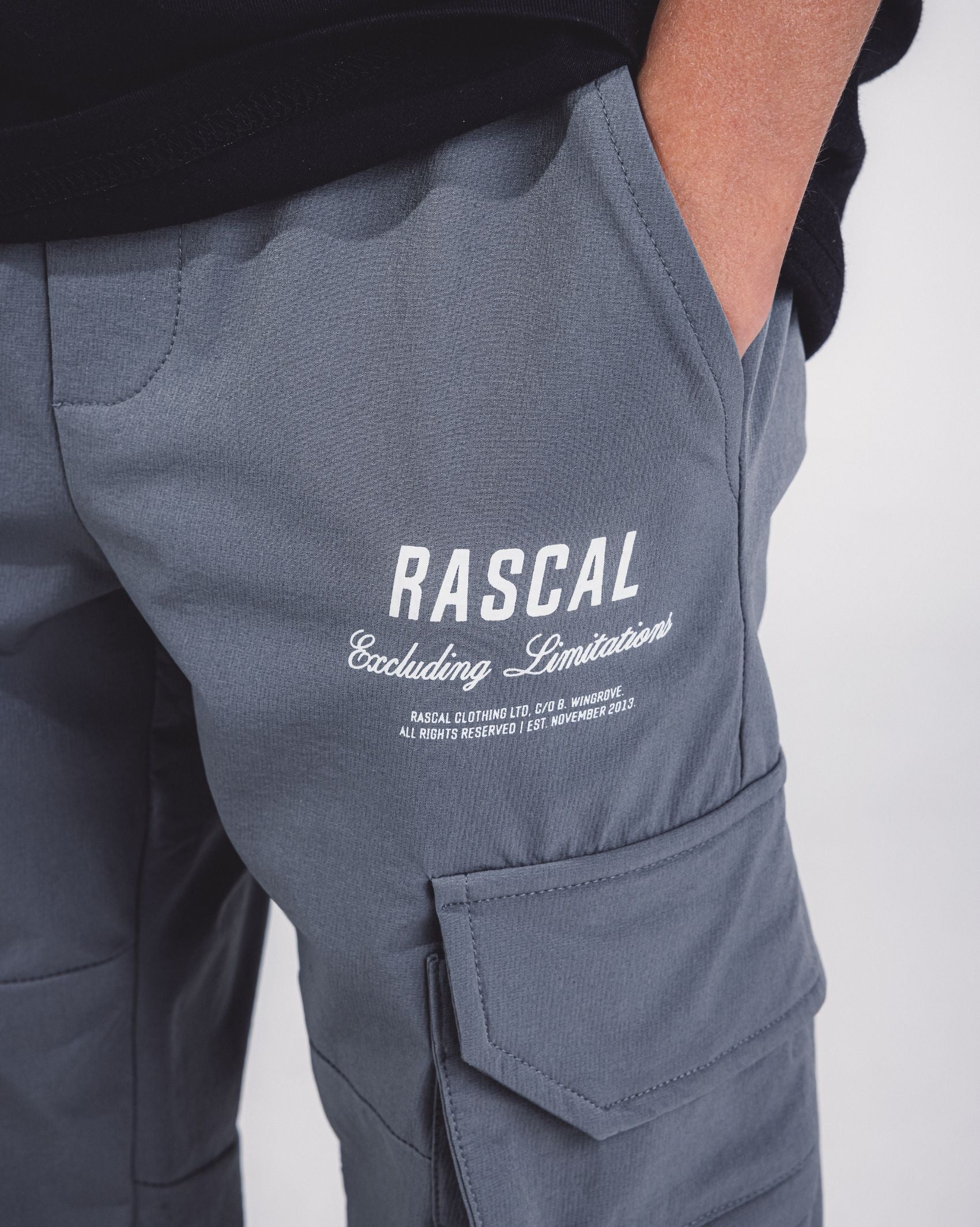 Excluding Limitations Cargo Pants - Grey