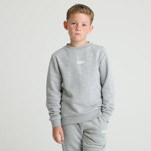 Boys Essentials 2.0 Crew Sweatshirt | Grey